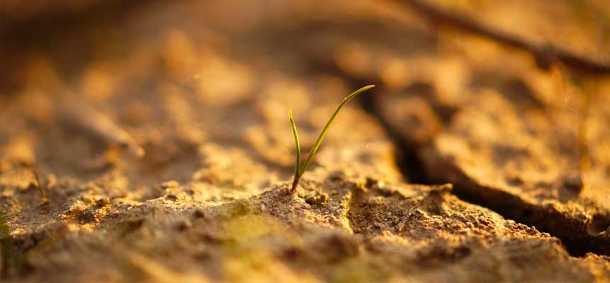 Solar-soil-remediation-in-Sao-Paulo We provide impactful solutions